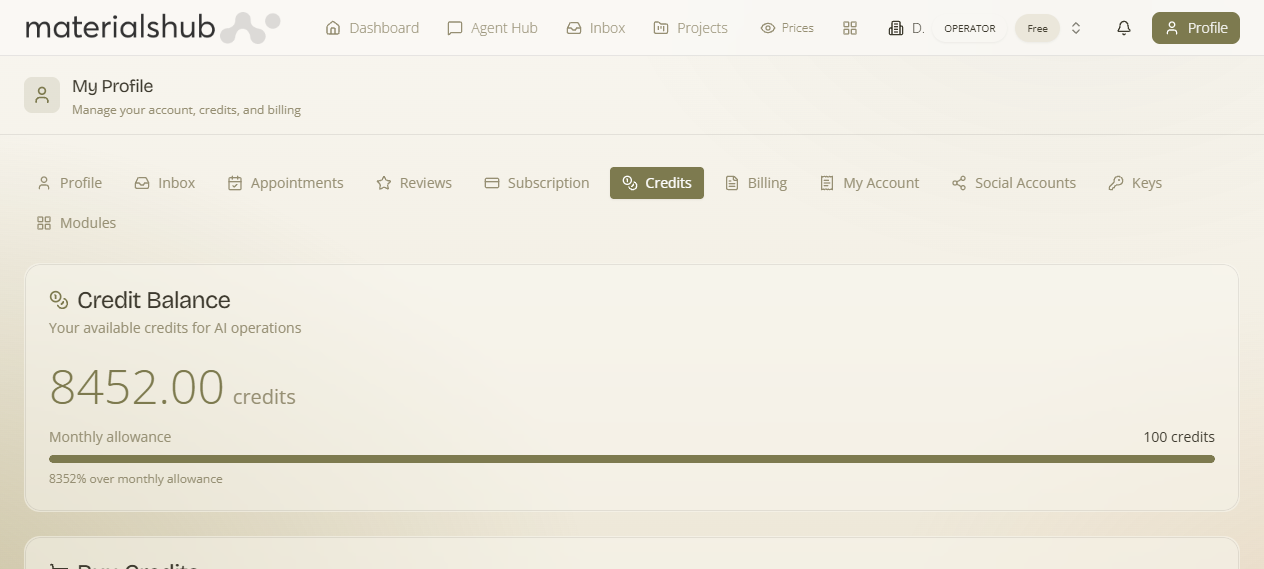 Credits tab showing balance and usage history